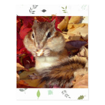 autumn_ chipmunk_ (7) 葉書き