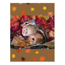 Autumn , chipmunk　(photo) はがき