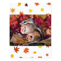 Autumn , chipmunk　(photo) はがき