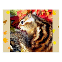 Autumn , chipmunk　(photo) ポストカード