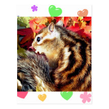 Autumn , chipmunk　(photo) ポストカード