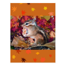 Autumn , chipmunk　(photo) ポストカード