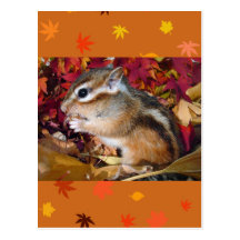 Autumn , chipmunk　(photo) ポストカード