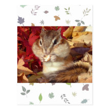 Autumn , chipmunk　(photo) 葉書き