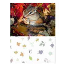 Autumn , chipmunk　(photo) 葉書き