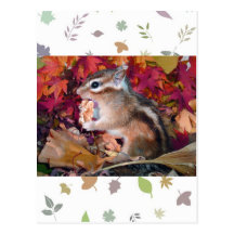 Autumn , chipmunk　(photo) 葉書き