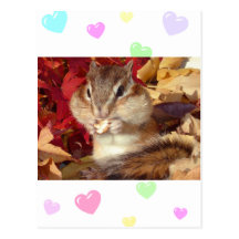Autumn , chipmunk　(photo) 葉書き