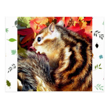 Autumn , chipmunk　(photo) 葉書き