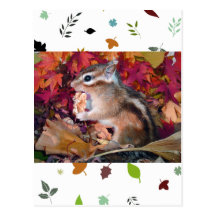 Autumn , chipmunk　(photo) 葉書き