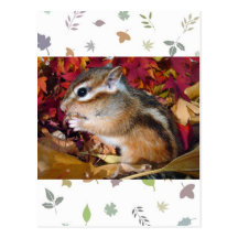 Autumn , chipmunk　(photo) 葉書き