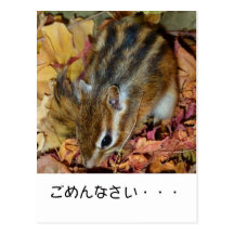 Autumn , chipmunk　(photo) , I'm sorry... ポストカード