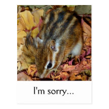 Autumn , chipmunk　(photo) , I'm sorry... ポストカード