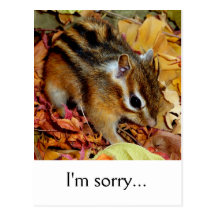 Autumn , chipmunk　(photo) , I'm sorry... 葉書き
