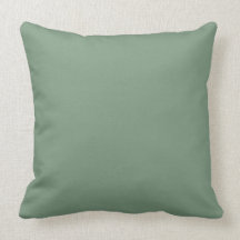Autumn colour pillows