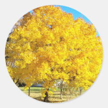 Autumn Colour Round Stickers