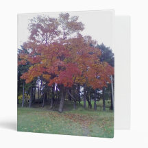Autumn Coloured tree 3 Ring Binders