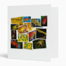 autumn colours 3 ring binder