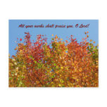 Autumn colours 4 postcards