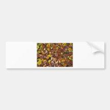 Autumn colours bumper stickers
