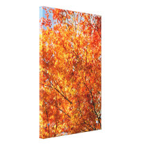 Autumn colours canvas prints