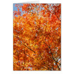 Autumn colours greeting card