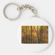 Autumn Colours in Woods NJ Key Chain