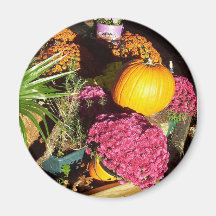 Autumn Colours Refrigerator Magnets
