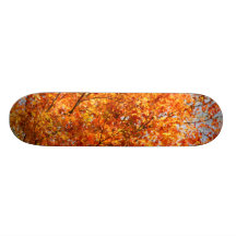 Autumn colours skate boards