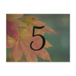 Autumn Colours Wedding Table Number