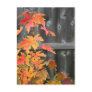 Autumn contrasts postcard