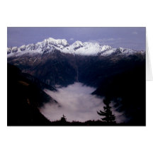 AUTUMN DAY GREETING CARDS