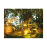 Autumn dazzle! postcard