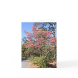 AUTUMN DOGWOOD GREETING CARDS
