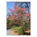AUTUMN DOGWOOD GREETING CARDS