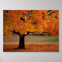 Autumn Dreams Print