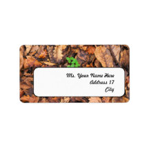 Autumn Dry Leaves and Green Clovers Address Label