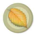 Autumn Elm Leaf Magnet