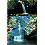 Autumn Falls, Smoky Mountain National Park, TN fro Cut Out
