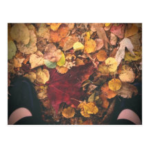 Autumn Feet postcard