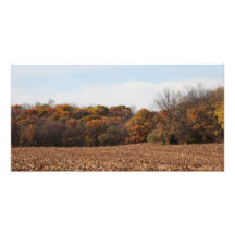 Autumn Field Photo