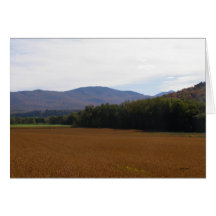 Autumn Fields Vermont (Blank) Greeting Cards