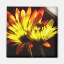 Autumn Flowers Magnet