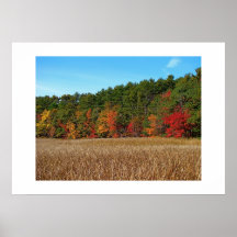 Autumn foliage across the marsh posters