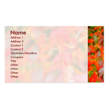 Autumn foliage business card template