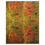 Autumn Foliage Colorful Scrapbook Paper Letterhead