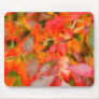Autumn foliage mousepad