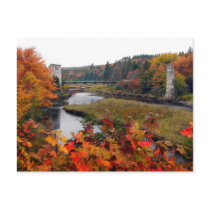 Autumn Foliage Postcard
