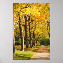 Autumn foliage print