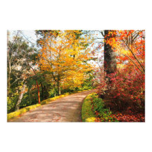 Autumn footpath in Azores Art Photo