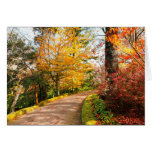 Autumn footpath in Azores Greeting Card